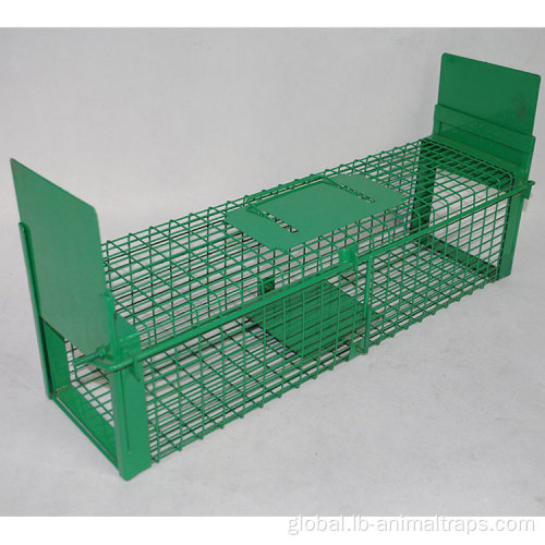 Wire Mesh Trap Cages Metal Wire Mesh Catch Mouse Rat Trap Cage Manufactory